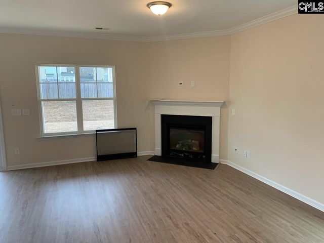 952 Bergenfield Lane, Chapin, SC 29036