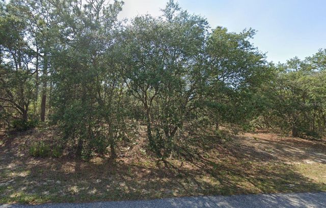 6004 N DARLINGTON DRIVE, Citrus Springs, FL 34434