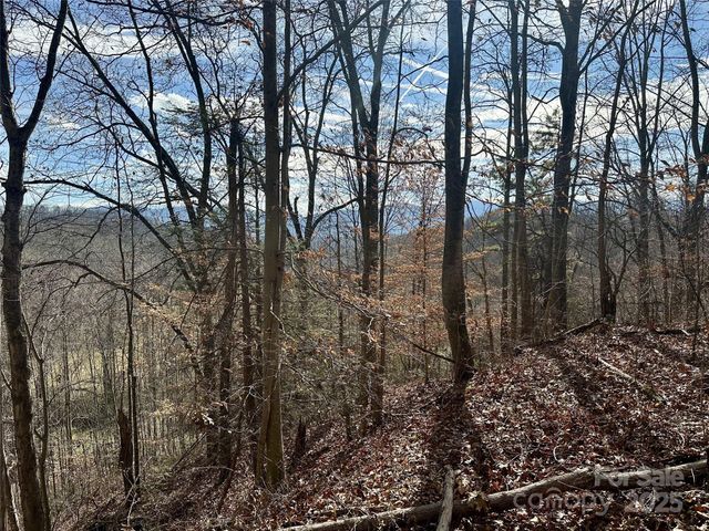 00 Queen Cove Road, Waynesville, NC 28785