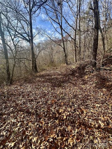 00 Queen Cove Road, Waynesville, NC 28785