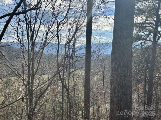 00 Queen Cove Road, Waynesville, NC 28785