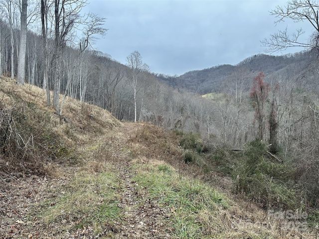 00 Queen Cove Road, Waynesville, NC 28785