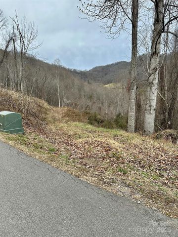 00 Queen Cove Road, Waynesville, NC 28785