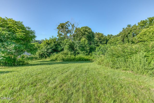 2315 Browns Mill Road, Johnson City, TN 37604