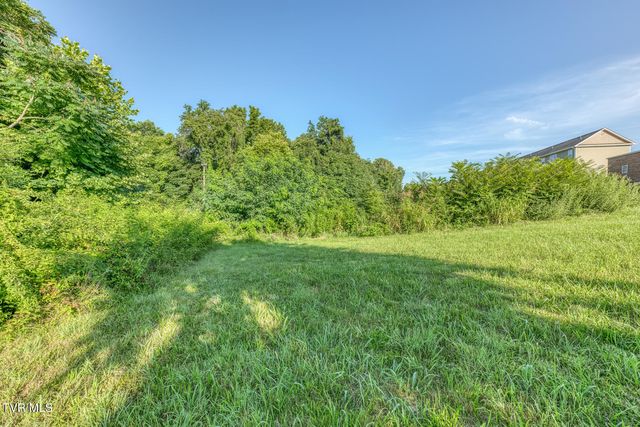 2315 Browns Mill Road, Johnson City, TN 37604