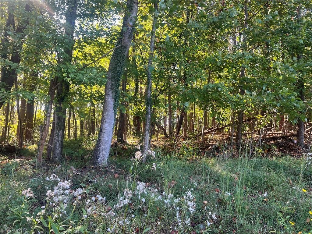 TBD Golf Course Road, Pilot Mountain, NC 27041
