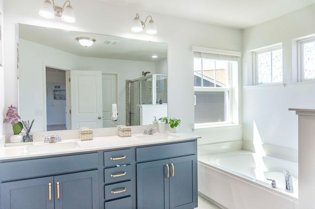 1407 Ironwood Court, Carver, MN 55315