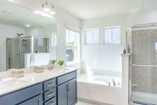 1407 Ironwood Court, Carver, MN 55315