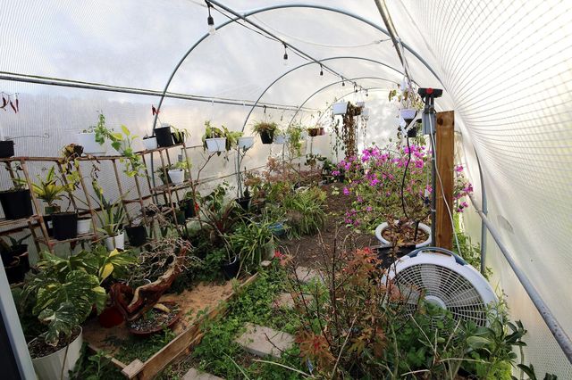 907 Riverside Drive, Alvin, TX 77511