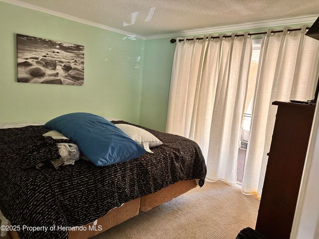 8310 Cavalry Drive, Hudson, FL 34667