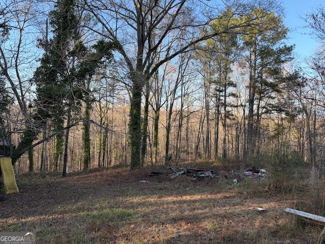 710 Armstrong Mill Road, Franklin, GA 30217
