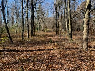 000 Prairie Road 1.5 A, Harbert, MI 49115