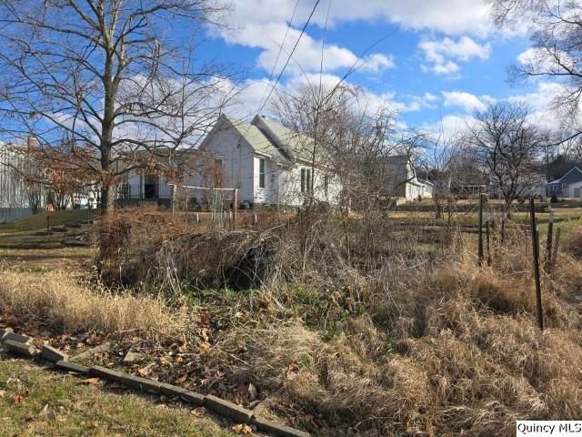 51 W 4th Street, Dallas City, IL 62330