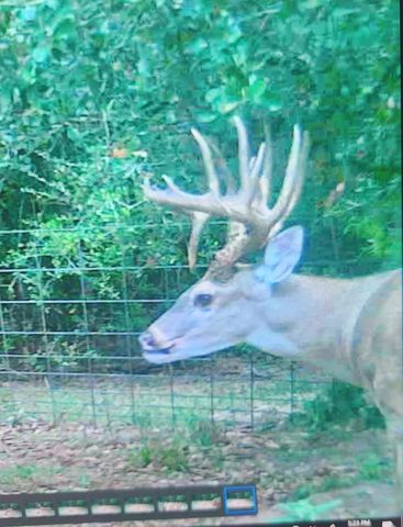 000 Hwy 90a, Sheridan, TX 77475