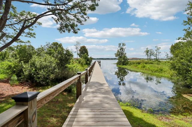 1033 AUGUSTUS LANE, Mount Dora, FL 32757