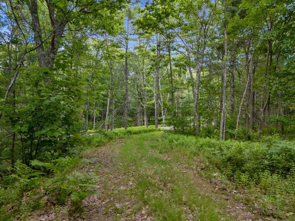 Lot 16 Captain John Parker Road, Phippsburg, ME 04562 — photo 3