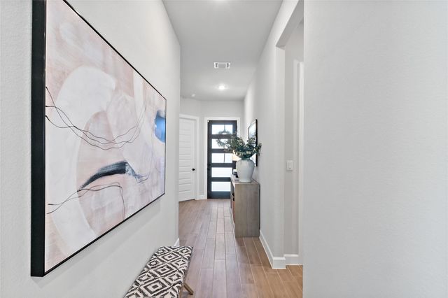 163 Cotton Tree TER, Dripping Springs, TX 78620