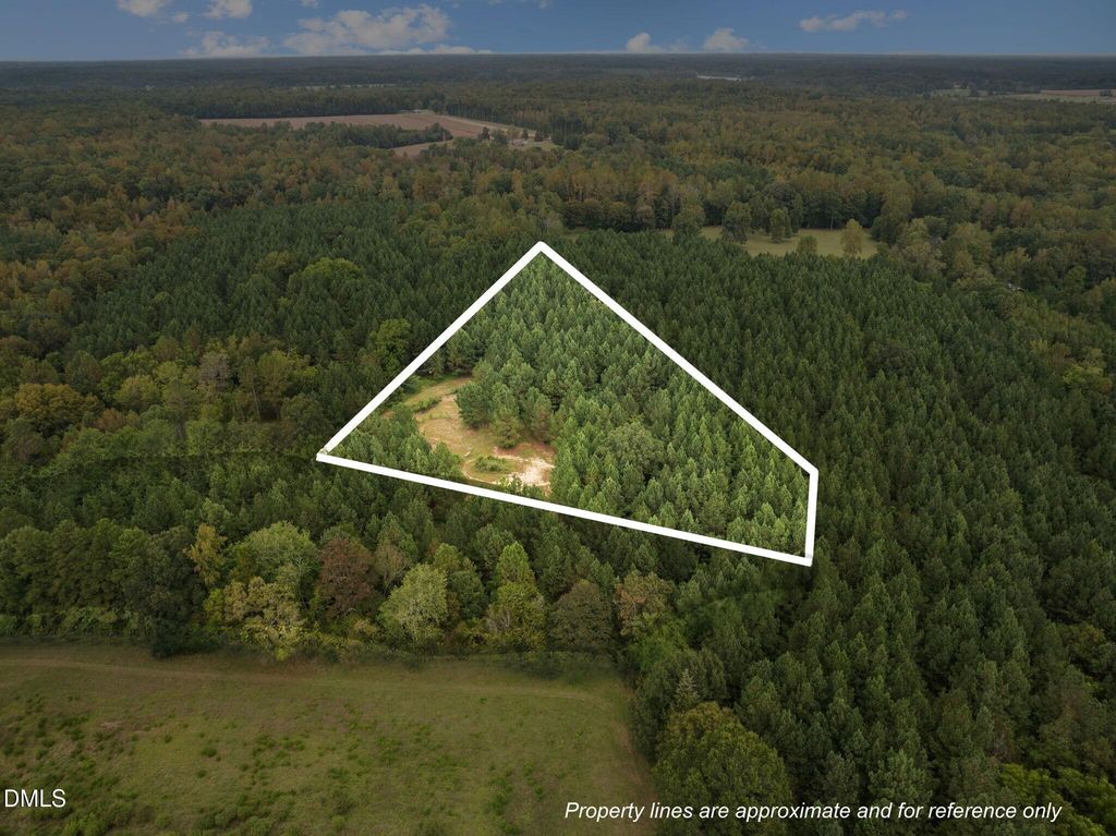 Lot 3 Wolf Tree Way, Efland, NC 27243