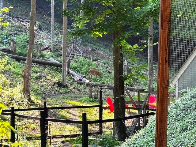 10520 S Dalzell Road, Traverse City, MI 49684