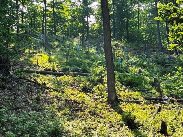 10520 S Dalzell Road, Traverse City, MI 49684