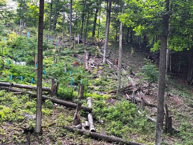 10520 S Dalzell Road, Traverse City, MI 49684