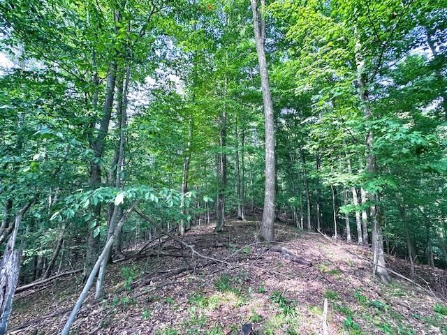 10520 S Dalzell Road, Traverse City, MI 49684