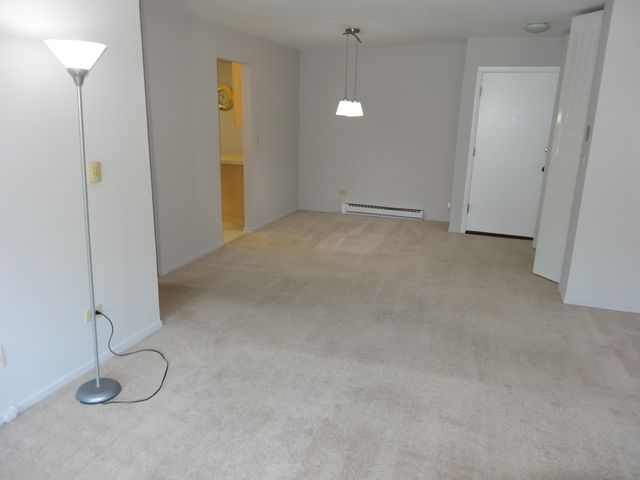 828 E Old Willow Road 109, Prospect Heights, IL 60070