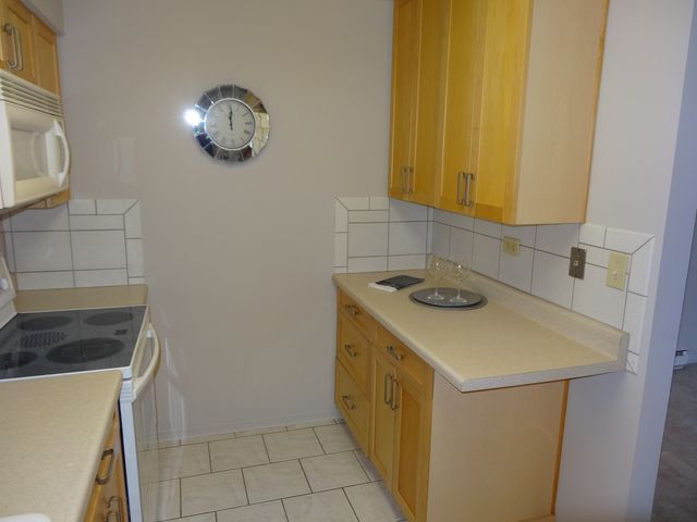 828 E Old Willow Road 109, Prospect Heights, IL 60070