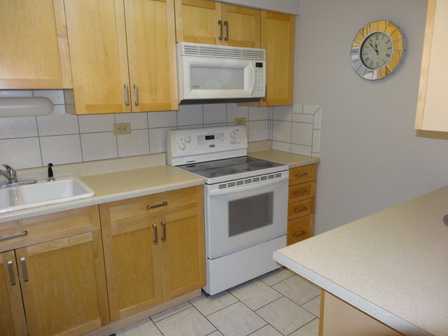 828 E Old Willow Road 109, Prospect Heights, IL 60070