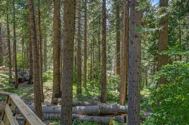 4341 Walapar Ln, Camp Connell, CA 95223