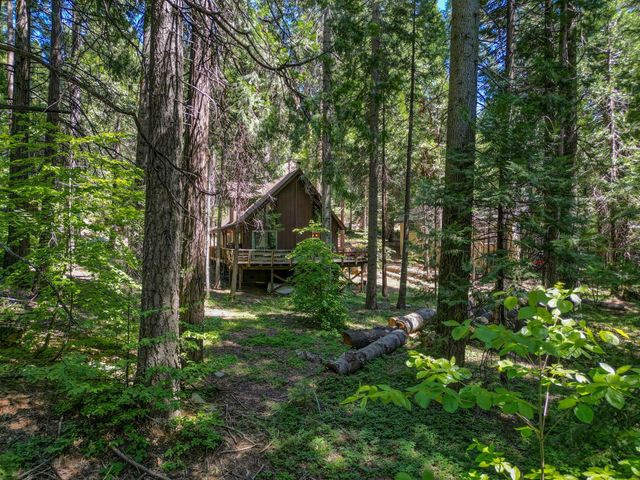 4341 Walapar Ln, Camp Connell, CA 95223