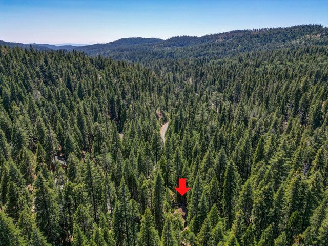 4341 Walapar Ln, Camp Connell, CA 95223