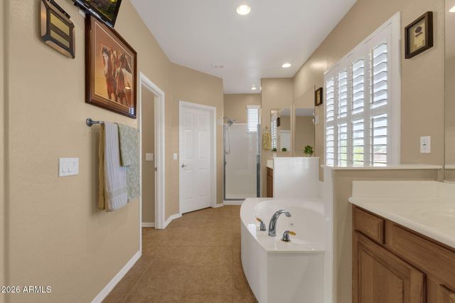 3792 E VIRGO Place, Chandler, AZ 85249