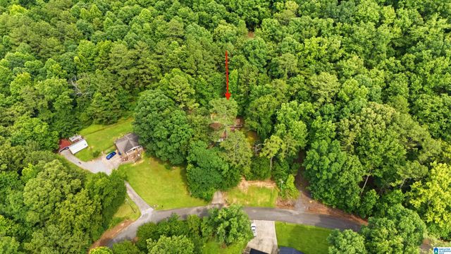 215 OAK RIDGE DRIVE, Oneonta, AL 35121