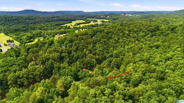 215 OAK RIDGE DRIVE, Oneonta, AL 35121