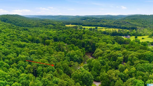215 OAK RIDGE DRIVE, Oneonta, AL 35121