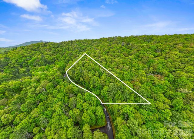 TBD Hickory Shaft Drive, Sapphire, NC 28774