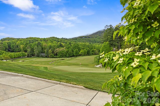 TBD Hickory Shaft Drive, Sapphire, NC 28774