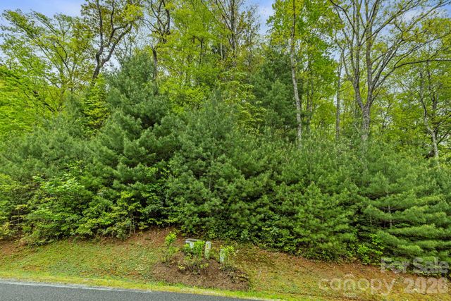 TBD Hickory Shaft Drive, Sapphire, NC 28774
