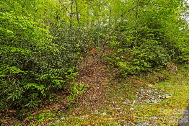 TBD Hickory Shaft Drive, Sapphire, NC 28774