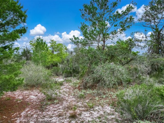 143 PATTON AVENUE, Lake Placid, FL 33852