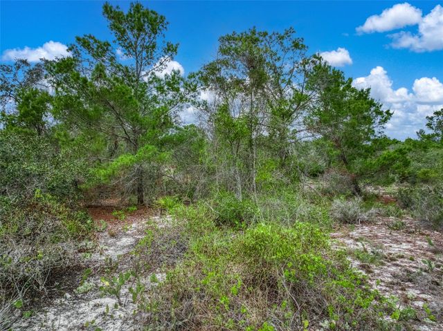 143 PATTON AVENUE, Lake Placid, FL 33852