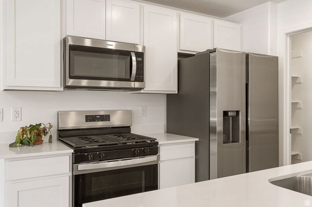 1737 S DEVILS GARDEN LN, Washington, UT 84780