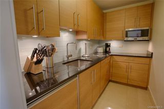 1 Renaissance Square 8C, White Plains, NY 10601