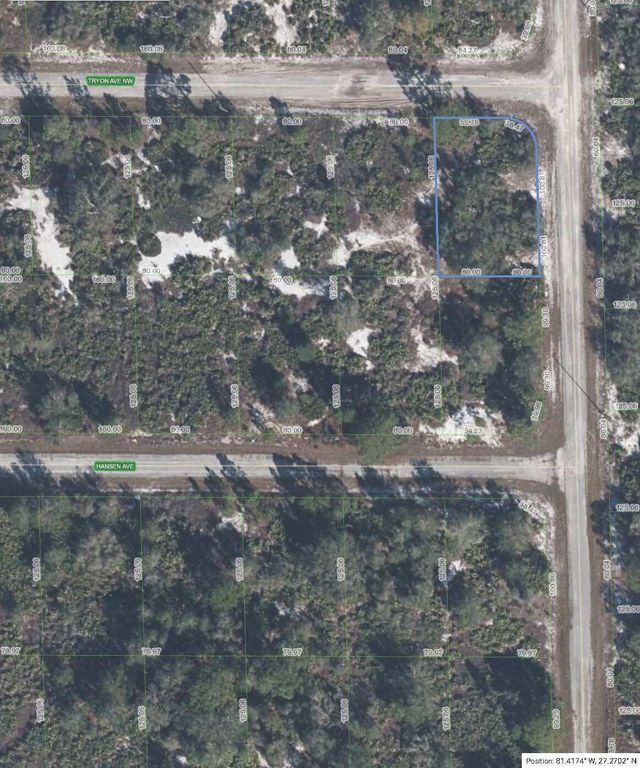 100 Tryon Avenue NW, Lake Placid, FL 33852