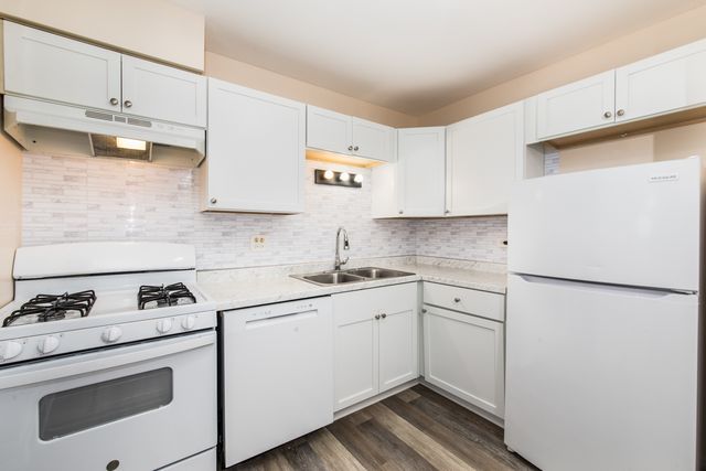 1000 Bayside Drive 203, Palatine, IL 60074
