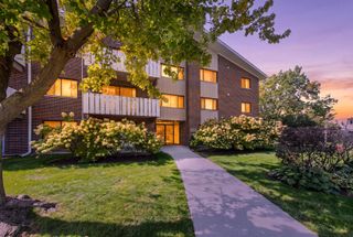 1000 Bayside Drive 203, Palatine, IL 60074