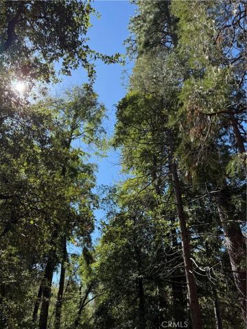 2407 Anglers Court, Mariposa, CA 95338