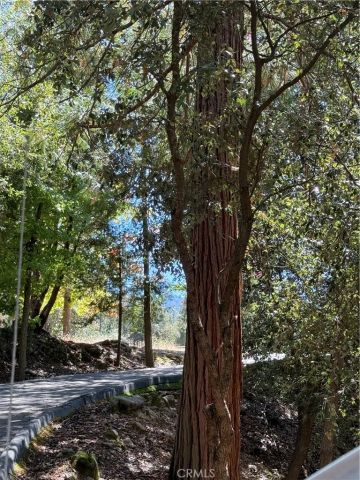 2407 Anglers Court, Mariposa, CA 95338