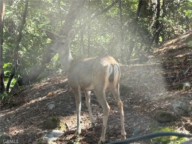 2407 Anglers Court, Mariposa, CA 95338